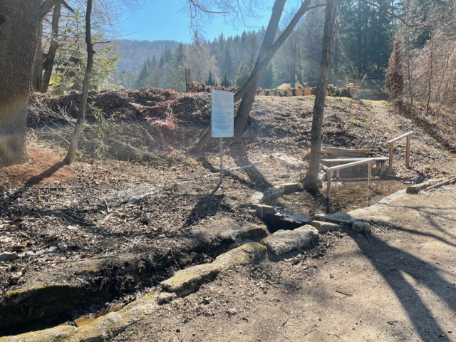 Foto: Franziska Pfeiffer