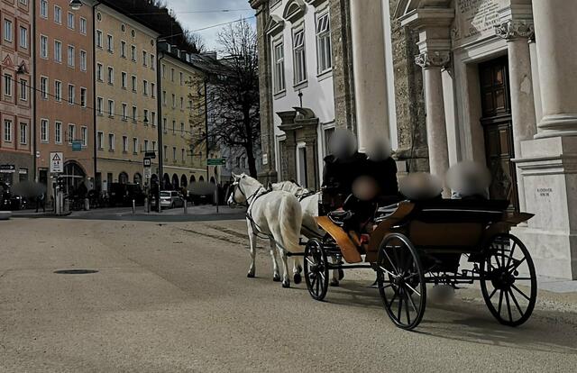 Foto: VGT Salzburg