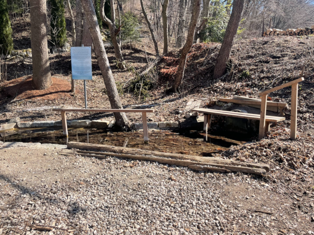 Foto: Franziska Pfeiffer