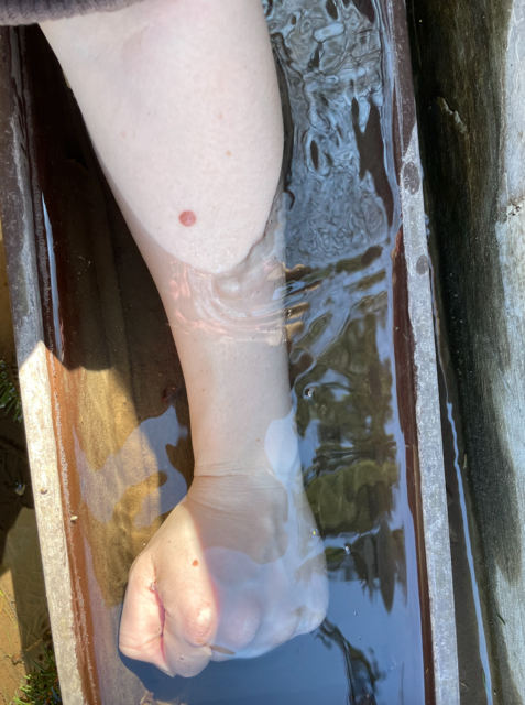 Ein Armbad fördert die Durchblutung der Arme, des Kopfes, des Herzens. | Foto: Franziska Pfeiffer