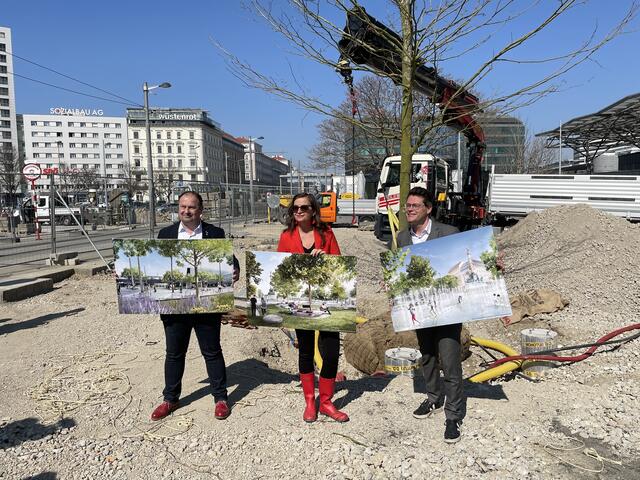 Bei der Pflanzung der ersten XXL-Platane am Praterstern (v.l.): Leopoldstädter Bezirksvorsteher Alexander Nikolai (SPÖ), Planungsstadträtin Ulli Sima(SPÖ) und Klimastadtrat Jürgen Czernohorszky.(SPÖ),.