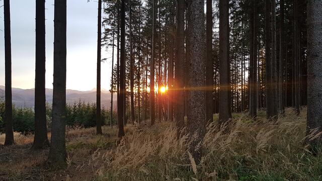 Die Natur erwacht, der Frühling ist im Pielachtal angekommen.
