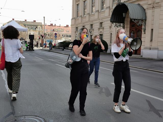 Klimastreik, Graz