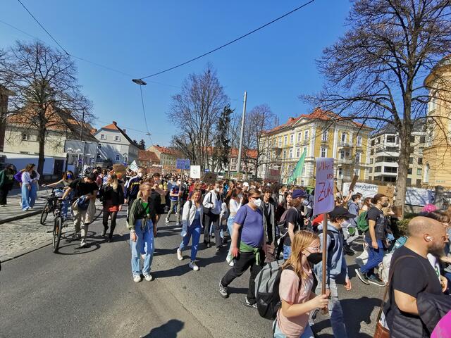 Demonstration, Fridays for Future Graz 