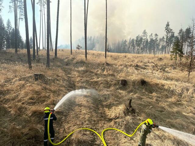 Foto: FF Zwettl-Stadt