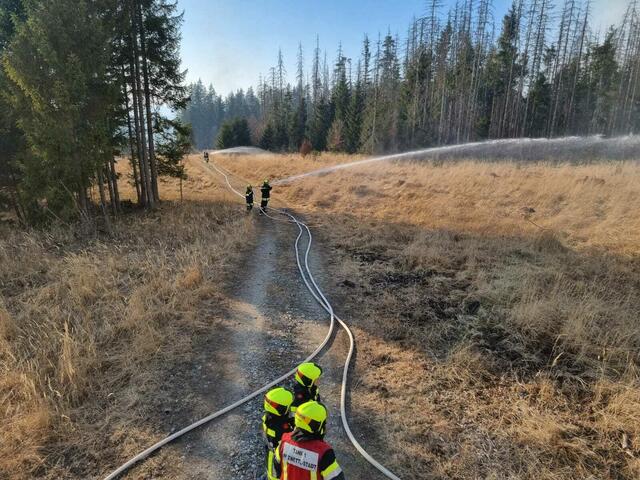 Foto: FF Zwettl-Stadt