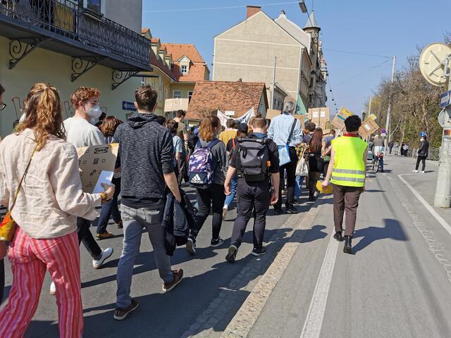 Demonstration, Fridays for Future Graz 