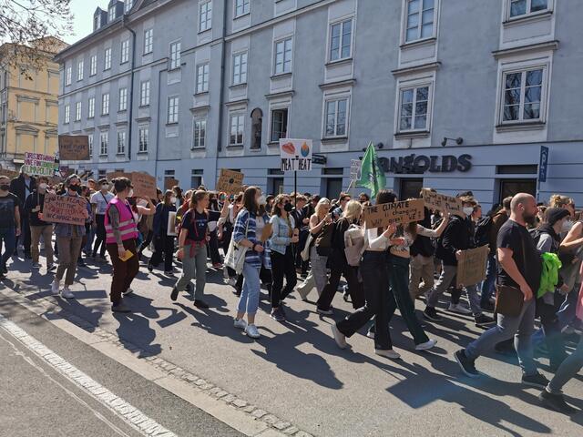 Fridays for Future Graz 