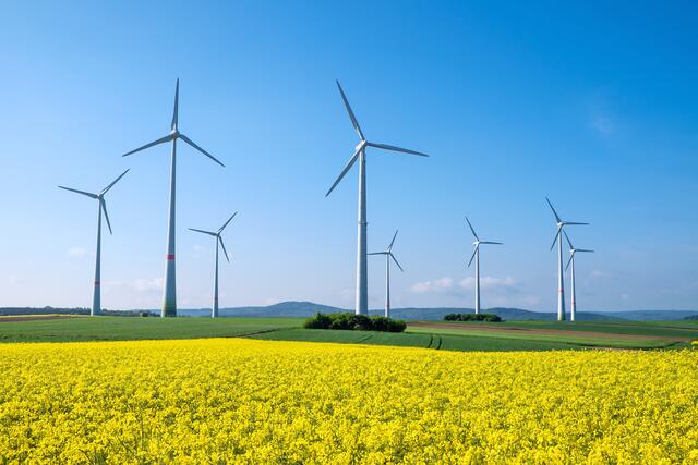 Die IG Windkraft fordert den Ausbau an nachhaltiger Stromproduktion. | Foto: elxeneize/panthermedia