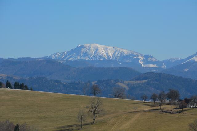 Unterwegs am Panormahöhenweg – einem Bergrücken, der sich vom Sonntagberg über St. Leonhard am Walde bis zum Hochkogelberg erstreckt. | Foto: Roland Mayr
