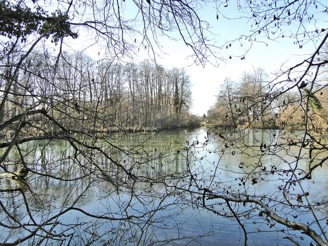 Der geschützte Ascherweiher und dessen Umgebung werden in ein Naturschutzgebiet umgewandelt.  | Foto: Grüne