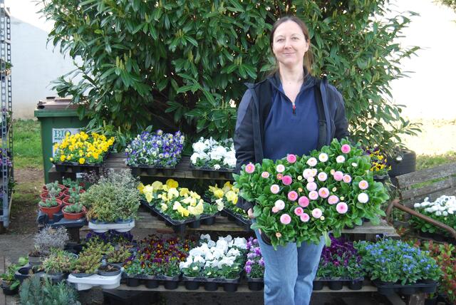 Linda Fischbach startet mit einem großen Sortiment an Frühlingsblumen in die diesjährige Saison | Foto: Lisa Kerper
