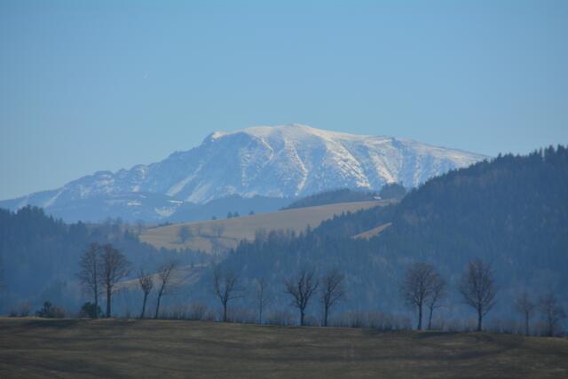 Der Ötscher ist am Panoramahöhenweg stets in Sichtweite.