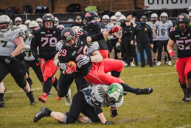 Foto: Mike Wriessnig