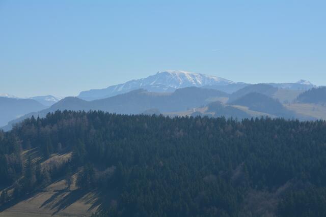 Der Ötscher ist am Panoramahöhenweg stets in Sichtweite.