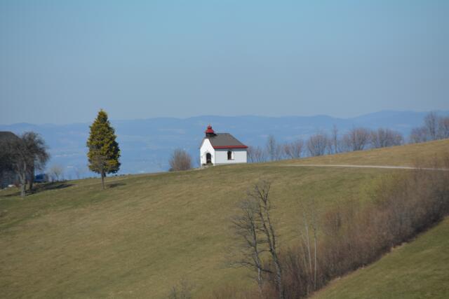 Unterwegs am Panormahöhenweg – einem Bergrücken, der sich vom Sonntagberg über St. Leonhard am Walde bis zum Hochkogelberg erstreckt.