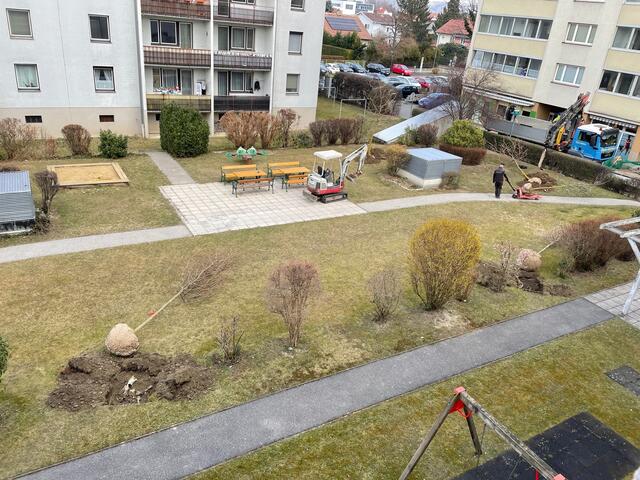 Die Bäume liegen bereit zum Eisgraben. | Foto: Necker