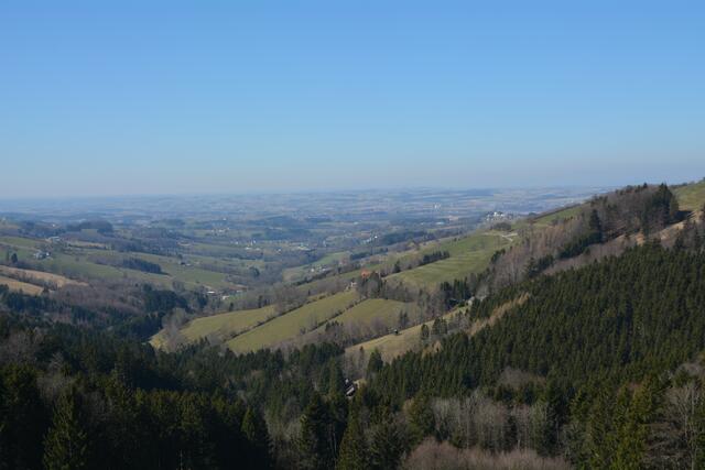Unterwegs am Panormahöhenweg – einem Bergrücken, der sich vom Sonntagberg über St. Leonhard am Walde bis zum Hochkogelberg erstreckt.