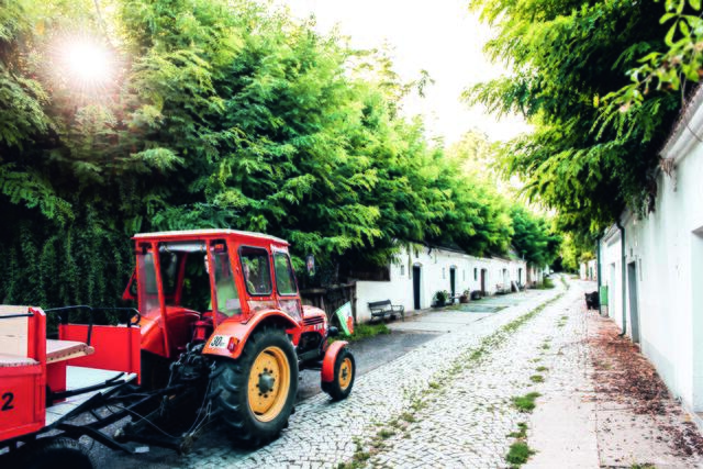 Traktorfahrt durch die Kellergasse Poysdorf | Foto: NÖ Werbung/Felsenreich