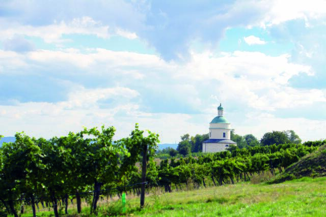 Der Rochusberg birgt ein Geheimnis – bzw. eigentlich Hunderte Geheimnisse, denn er ist durchzogen von Weinkellern. | Foto: Regina Courtier