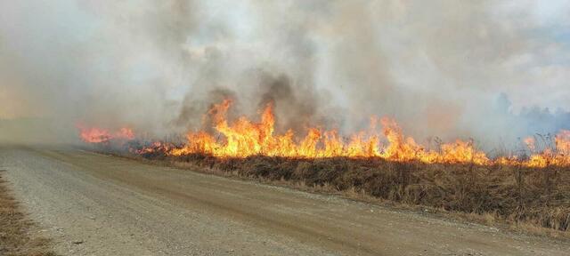 Feuerwalze TÜPL A | Foto: ABC Abwehrkompanie 