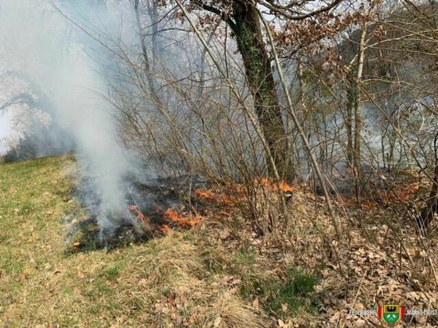 Waldbrand in Ligist am Dienstag. Drei Feuerwehren löschten vier Stunden lang. | Foto: FF Ligist