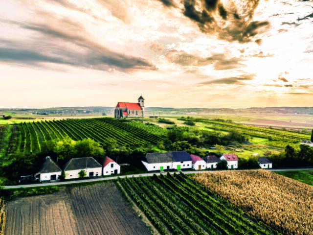 Wie gemalt: Das Weinviertel verwöhnt dich bei jedem einzelnen Besuch mit unschlagbarer Gastlichkeit und viel Weite. | Foto: Weinviertel Tourismus / Robert Herbst