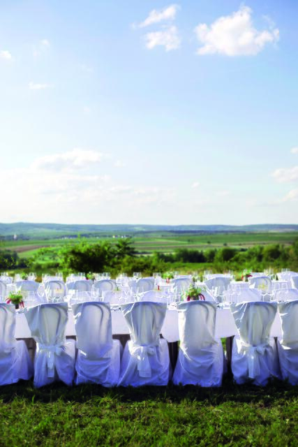 Lange Tafeln gibt's im Sommer im Weinviertel zu finden: Platz nehmen und genießen! | Foto: Weinviertel Tourismus / Wurnig