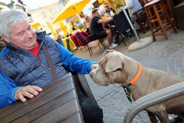 Herrchen L. mit Hündin Minnie | Foto: Roland Pössenbacher