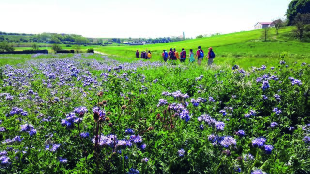 Der Franziskusweg im Südlichen Weinviertel | Foto: REV Südliches Weinviertel