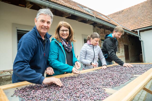 Die Steirische Käferbohne ist seit 2016 im EU-Register der geschützten geografischen Angaben zu finden. Sie ist einer der wichtigsten Feldfrüchte für Familie Hirschmann in Straden, die die Bohne seit über 25 Jahren produziert.  | Foto: Alexander Danner