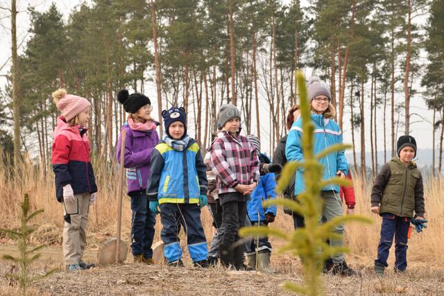 Die Kids konnten selbst sehen, wie groß ihre Bäume schon gewachsen sind. | Foto: PEFC/Peter Zeschitz
