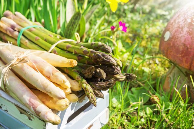 Frühlingsgemüse gibt nach den Wintermonaten wieder Power und unterstützt am Weg zur schlanken Sommerfigur.