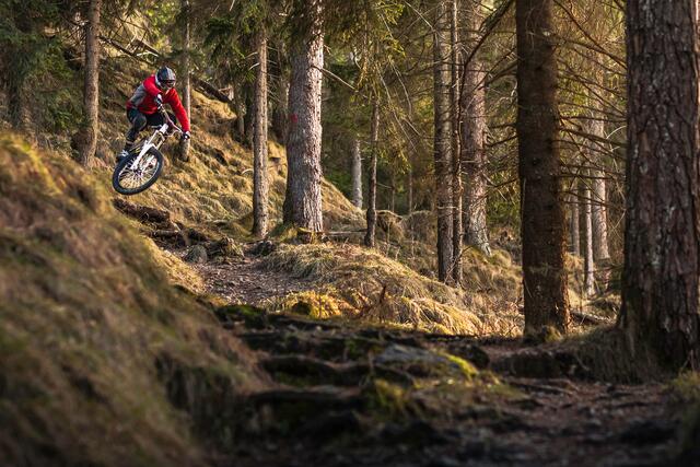 Bald gibt es für die passionierten Mountainbiker:innen aus der Region auch am Präbichl die Möglichkeit, ihrer Leidenschaft nachzukommen.  | Foto: Panthermedia