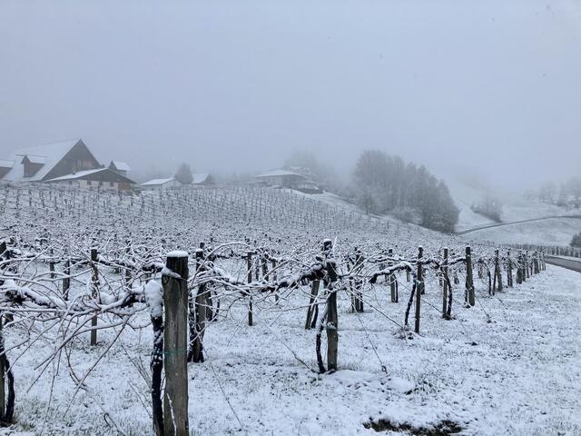 Eine Woche vor Palmsonntag ist es weiß in der Region geworden. | Foto: Gerhard Woger