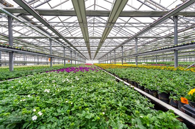 In der neuen Filiale steht die Floristik im Vordergrund. | Foto: Brand Images