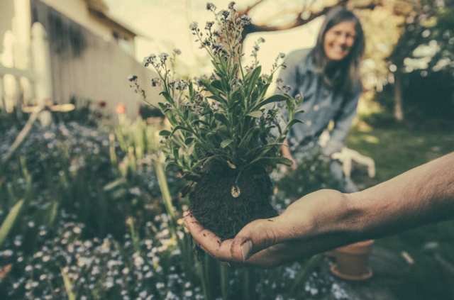 Foto: Unsplash.com