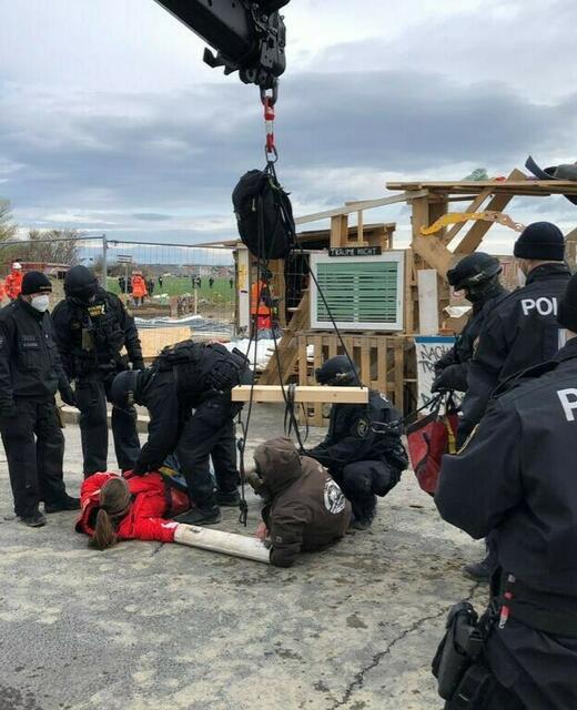 Rund 400 Polizistinnen und Polizisten wurden zur Räumung des Protestcamps geschickt.  | Foto: Landespolizeidirektion Wien