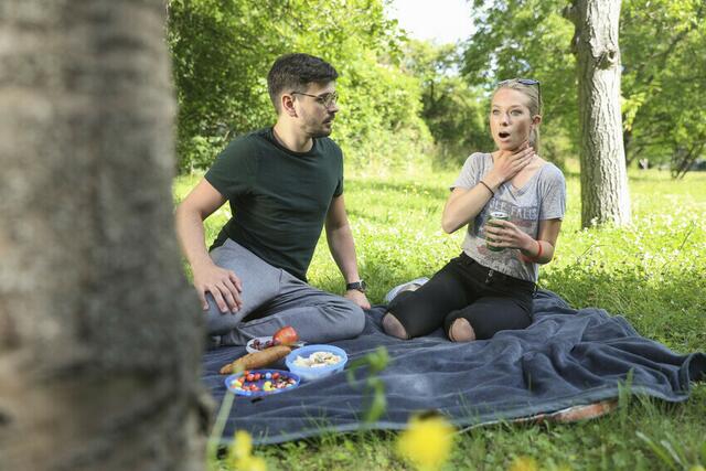 Wespenallergien kommen am häufigsten in der Region vor. | Foto: ÖRK