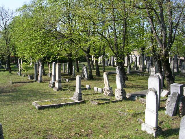 Der jüdische Friedhof in Wiener Neustadt. | Foto: Sulzgruber