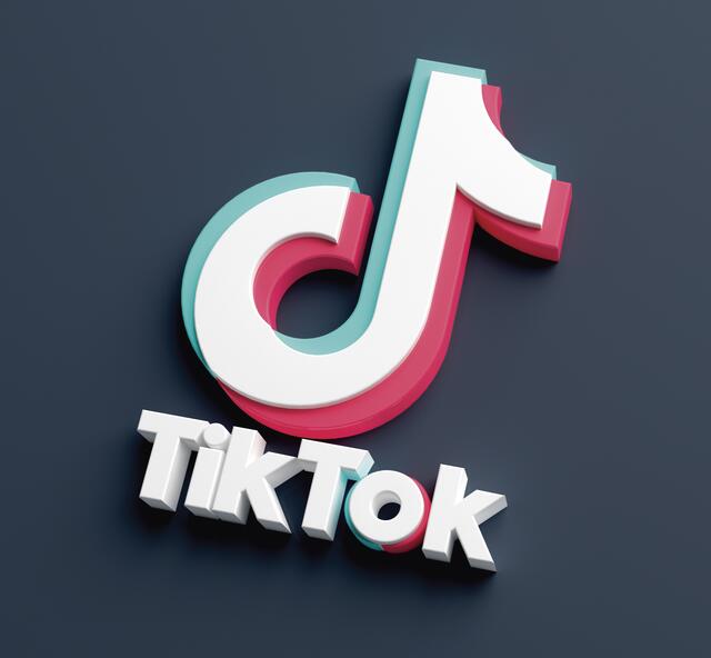 Die MS Obervellach hat einen TikTok-Account  | Foto: stock.adobe.com | AdriaVidal
