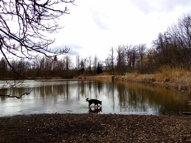 Ein großer Teich am Ende des Parks