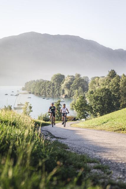 Der autofreie Rad-Erlebnistag rund um den Attersee findet heuer bereits zum 25. Mal statt. | Foto: OÖ Tourismus GmbH/Moritz Ablinger