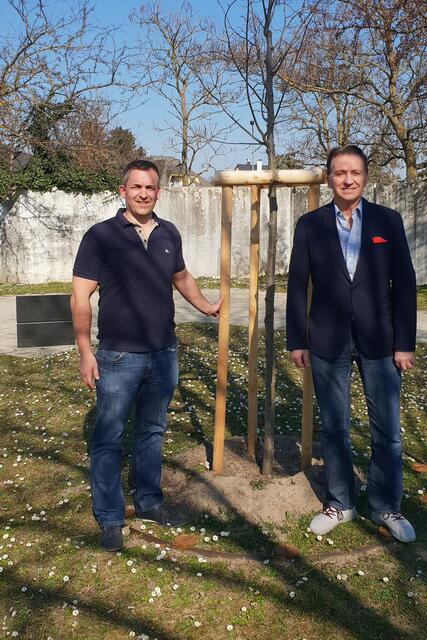  Bürgermeister Vojta und Vizebürgermeister Ruf bei der neu gepflanzten Winterlinde.
Links im Hintergrund der im Text erwähnte Granitblock.
 | Foto: Stadtgemeinde Gerasdorf