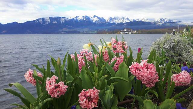 Heute beim spazieren gehen, mit meiner Enkelin aufgenommen. (Handyaufnahme)