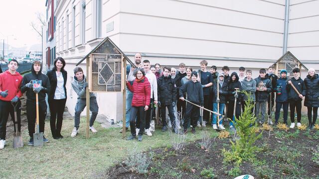 Hochmotiviert waren die Schüler:innen der 4drs im BG/BRG Oeversee bei der Sache: zwei Jahre lang wurde an Insekten-WGs gearbeitet, die nun ihren Platz im Vorgarten der Schule gefunden haben. | Foto: MeinBezirk