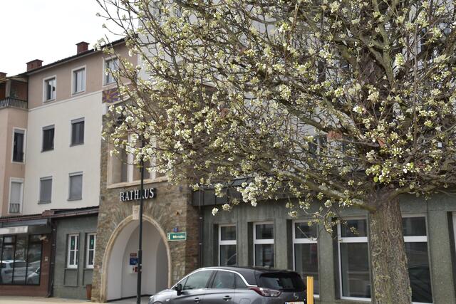 Foto: Martin Wurglits