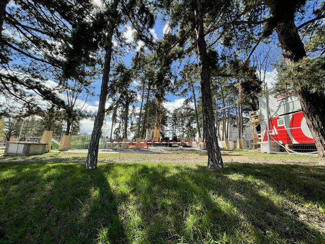 Baustelle unter Bäumen. 17 Schwarzföhren wurden für das Bauprojekt gefällt. Alle anderen sollen erhalten bleiben.  | Foto: Michael J. Payer