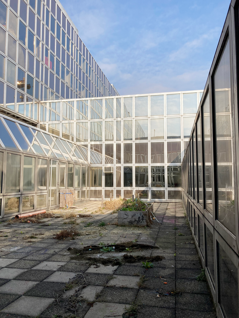 Bislang fanden in der alten WU nur einzelne Kurse und Vorlesungen der Akademie der bildenden Künste statt.  | Foto: West Space/MUSIC BOX Betriebs-GmbH