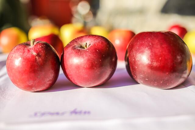 Foto:  BPWW/N. Novak